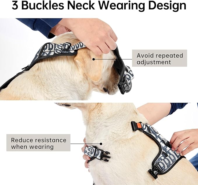 IVY&LANE No Pull Dog Harness with Leash Set, Reflective No Choke Pet Vest,Adjustable Oxford Dog Vest Harness with Easy Control Handle for Small Dogs (Vintage Blue,S)