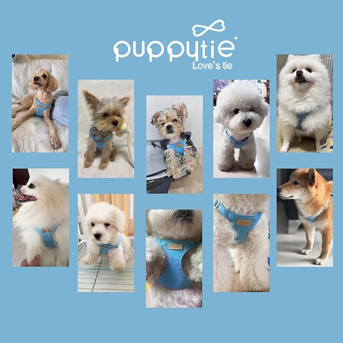 Puppytie No Pull Small Dog Harness with Multifunction Dog Leash,Lightweight Soft Adjustable No Choke Escape Proof Pet Harness Vest Pet Harness Vest,Ocean Blue,S