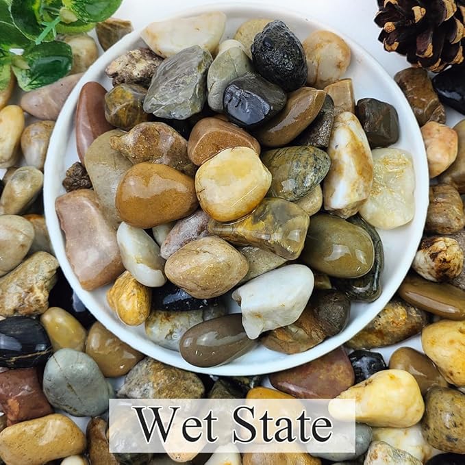 20lbs Aquarium Rocks, 5/8" Natural River Rocks for Plants Decorative Polished Mixed Pebbles for Fish Tank, Landscaping, Gardening, Flower Pots, Vase Fillers, Indoor Water Fountains