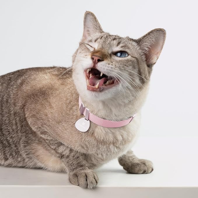 Safety Cat Collar Pro - U.S. IDA Gold Awarding Design, Elastic Quick Release Cat Collar with Buckle Non Breakaway - Lightweight for Kitten All Small Large Cats (Blush Pink, M 7.9-15.7")