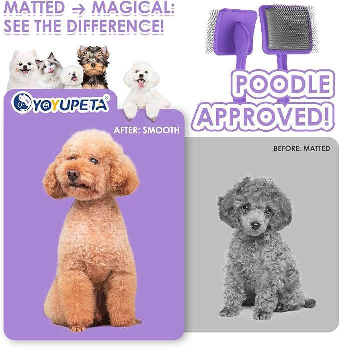 Large Slicker Brush for Dogs - 3PC Pet Grooming Kit - Undercoat Rake & Stainless Comb | Long Pins Remove Mats on Poodles, Golden, Labradoodles | Thick Coat Deshedder for Dogs, Cats, Purple