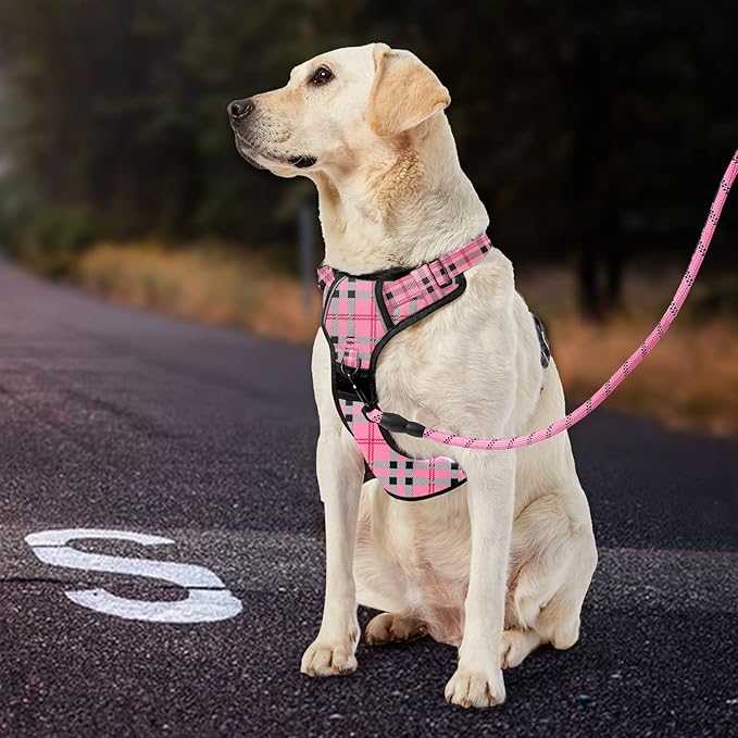 IVY&LANE No Pull Dog Harness with Leash Set, Reflective No Choke Pet Vest,Adjustable Oxford Dog Vest Harness with Easy Control Handle for Small Dogs (Checkered Pink,S)