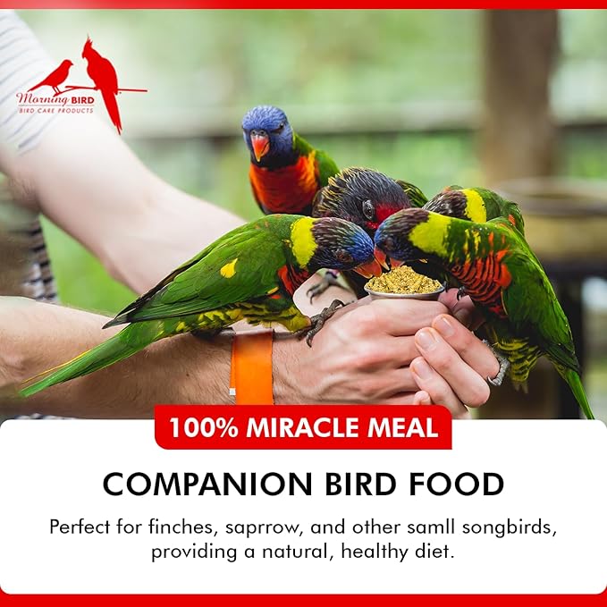 Morning Bird Miracle Meal 3 lbs (2-Pack, 1.5 lbs Each) – Soft Food for Birds with Vitamins & Supplements – Packed with Protein, Minerals & Amino Energy – Promotes Strong Feathers & Overall Wellness