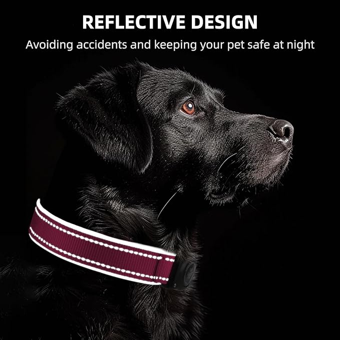 Airtag Dog Collar - 100% Waterproof Air tag Dog Collar Holder for Apple AirTag, Reflective, Soft Padded, Everlasting, GPS Dog Collar for Small Medium Large Dogs (Hot Pink, L)