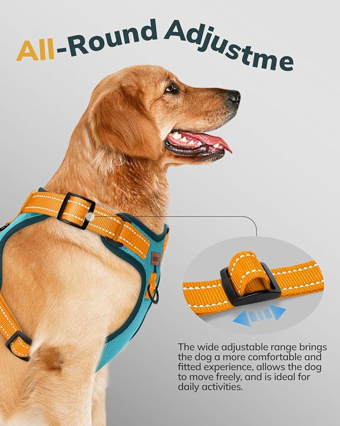 MIDOG No-Pull Dog Harness | Adjustable & Reflective Pet Harness Leash Set for Small Medium Large Dogs Walking, Training| No Choke, Front Clip, Soft Padded Vest with Easy Control Handle - Blue, S