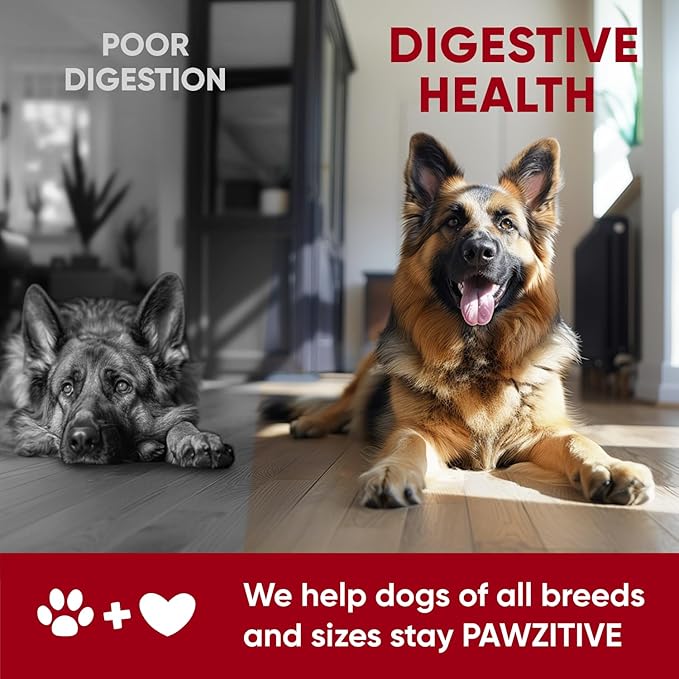 Probiotics for Dogs Digestive Health - Probiotic Chews for Gut Health, Itchy Skin Yeast, Diarrhea - USA Product - Immune Support Supplement - Dog Digestive Support & Allergy Relief Chews with Enzymes