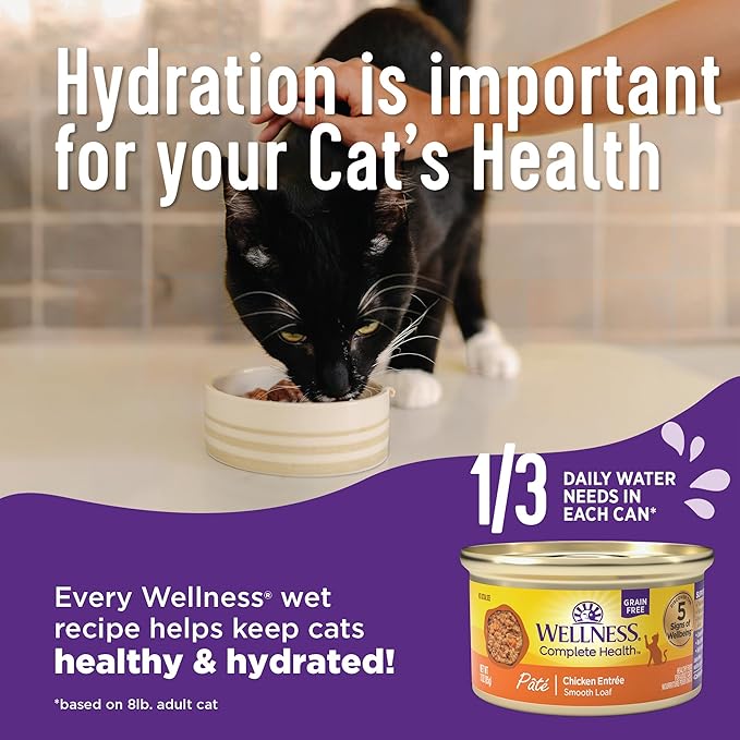 Wellness Complete Health Cubed Adult Wet Cat Food, Natural, Protein-Rich, Grain Free, 5.5 Ounce, 24 Pack, (Chicken Entrée)