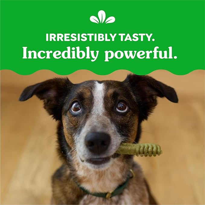 Greenies Regular Dental Dog Treats, Sweet Potato Flavor, 12 oz. Pack (12 Treats)