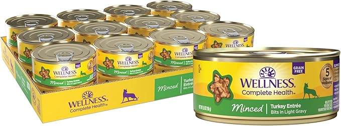 Wellness Complete Health Minced Adult Wet Cat Food, Natural, Protein-Rich, Grain Free, 5.5 Ounce, 24 Pack, (Turkey Entrée)