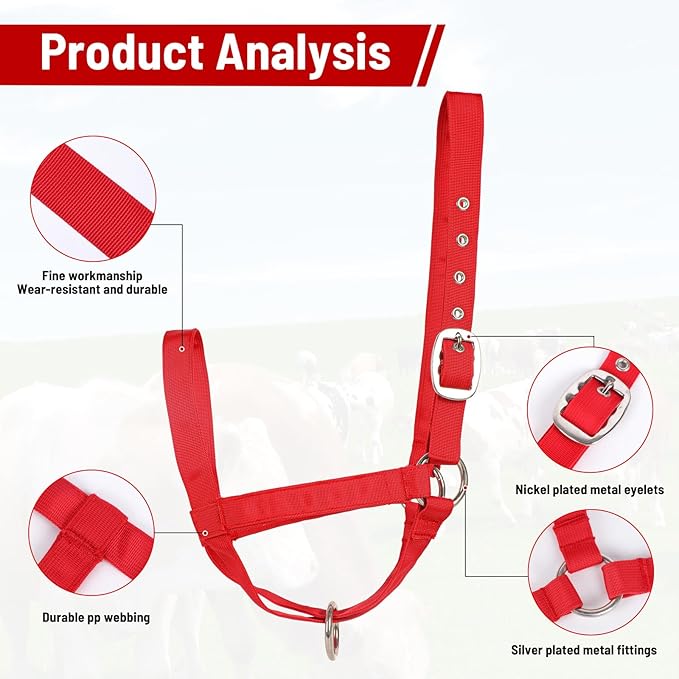 XUANNIAO Easily Adjustable Figure 8 Cow Halter, Double-Ply Premium Livestock Cattle Halters, Colorful Cow Utility Calf Halter with Leading Rope for Miniature Horse Donkey Goat Foal (Large, Black)