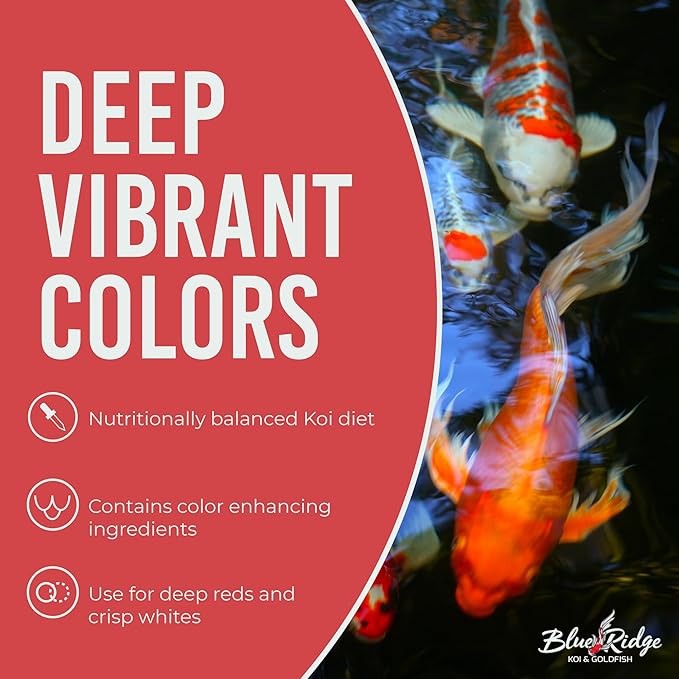 Blue Ridge Koi Fish Food 4.5lb - Koi Food 3/16” Platinum Pro Formula Goldfish Food, Premium Fish Food for Ponds, Ponds Fish Food, Floating Pond Pellet