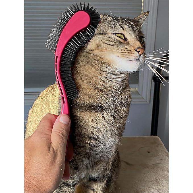 (Pink) Designed for Comfort, Created for Results. This innovative grooming brush features multi contoured bristles that gently adapt to your cats body for a stress-free brushing experience.