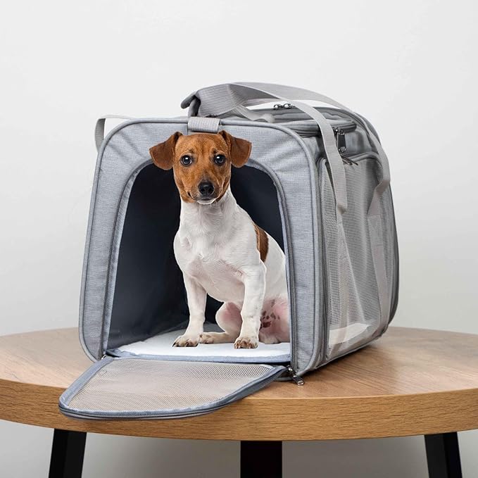 Airline Approved Soft Sided Pet Carrier for Small and Medium Dogs, Cats, and Puppies (Up to 15 lbs), Collapsible Portable Travel Bag for Dogs Cats (Grey)