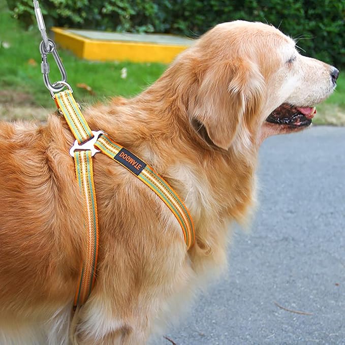 Tresbro 30FT Reflective Tie Out Cable for Dogs Up to 250 Pounds, Steel Wire Lead Leash Cable with Stainless Dual Fix Buckle, Lightweight and Enduring, Outdoor Dog Chains for Outside,Yard,Camping