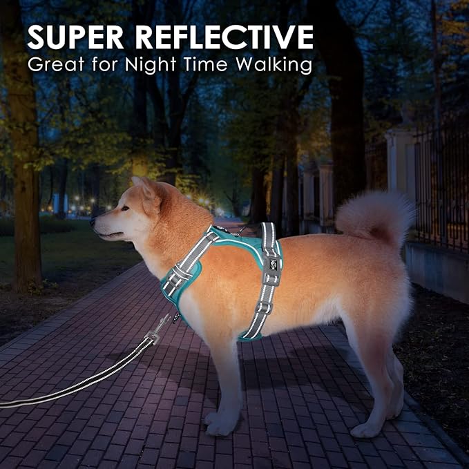 PHOEPET No Pull Dog Harness, Unique Colors Reflective Adjustable Dog Vest, with Soft Training Handle Metal Clips for Small Medium Large Dogs (Mint Green Base & Grey Straps,XL)