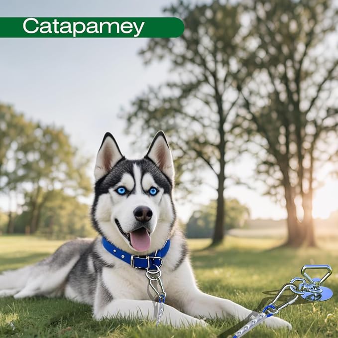 Dog Tie Out Cable and Stake,with 30FT Heavy Duty Cable,360° Swivel Dog Run Stake-No Tangle-Runner for Yard,-Suitable for Up to 150 lbs- Idela for Yard Outdoor Camping