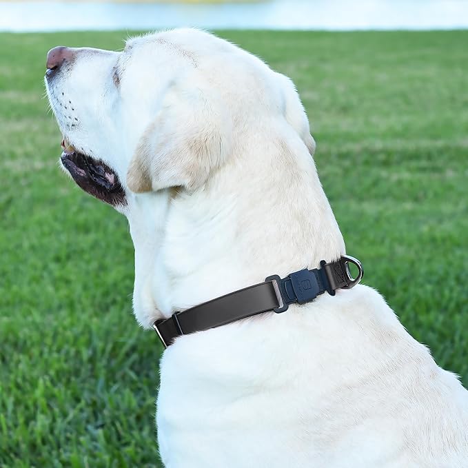 Dogline Biothane Waterproof Dog Collar with Herm Sprenger Stainless Steel Quick Release Buckle – Heavy Duty Tactical Durable Collar for Dogs – Comfortable and Safe Pet Collar, W 3/4" L 12-19", Black