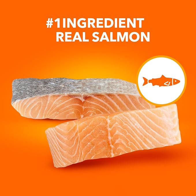 IAMS Proactive Health Adult Healthy Dry Cat Food with Real Salmon, 3.5 lb. Bag