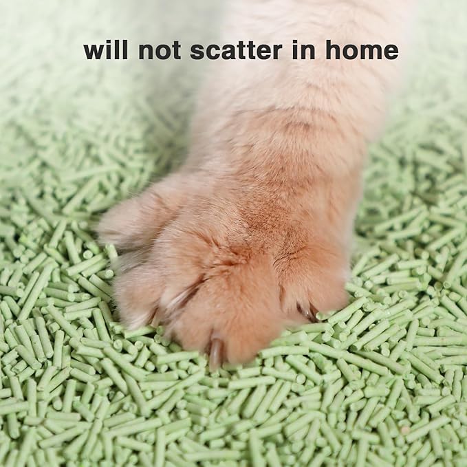 Cat Litter 24LB/4 Packs Dust-Free Clumping Tofu Cat Litter Quickly Absorb Odors Toilet Can Flush Into The Toilet Pure Natural tofu cat Litter (Green Tea)