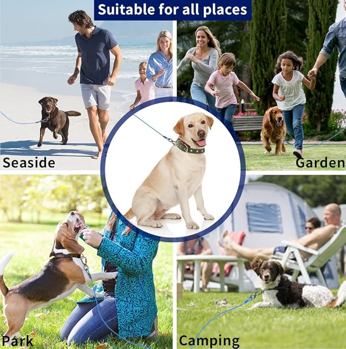 Dog tie Out Cable, 10/20/25/30/50/70/100 feet, Suitable for Dogs up to 350 pounds, Dog Cable with Swivel Buckle, Lightweight, Non-Winding, for Outdoor Camping, Yard Dog Cable (Blue, 10FT)