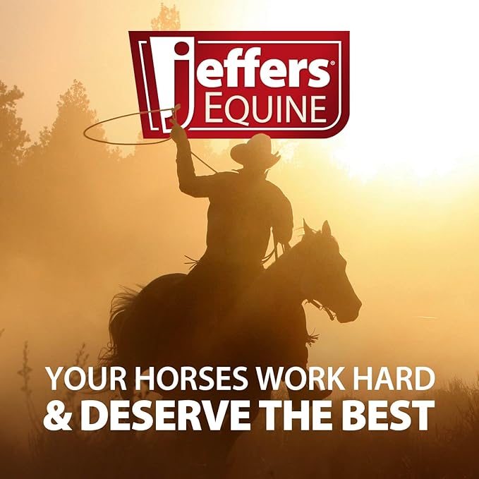 Jeffers Equine Motion Potion Liquid Horse Joint Supplement with HA, Cherry Flavor – Glucosamine, MSM, Chondroitin, Hyaluronic Acid – Mobility Support for Horses – 38 oz Bottle – Up to 38 Servings