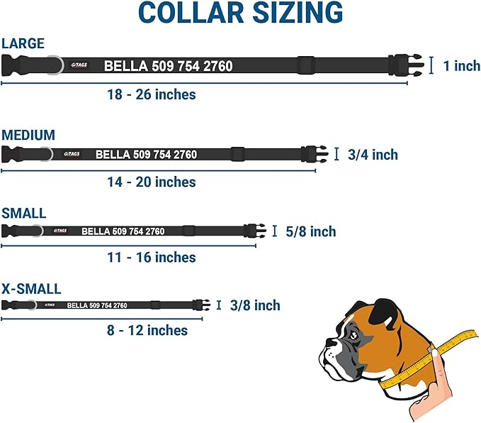 GoTags Reflective Personalized Dog Collar with Nameplate, Adjustable Dog Collar with Custom Engraved Steel Slide On Pet ID Tag, Silent, No Noise Dog Tag for Large Medium or Small (Beige, Small)