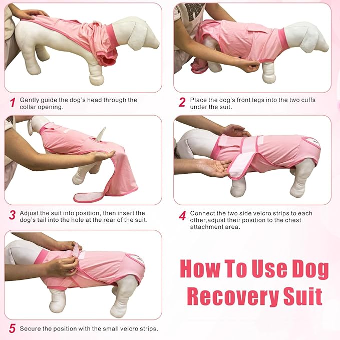 Idepet Dog Recovery Suit Female,Dogs Onesie Suit Surgery Male Breathable Pet Bodysuit for Spay Neuter E-Collar & Cone Alternative Surgical Suit Puppy Abdominal Anti Licking Wounds Shirt (Blue, S)