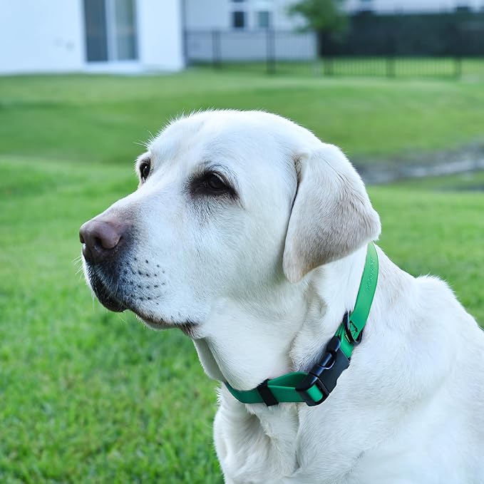 Dogline Biothane Waterproof Dog Collar with Quick Release Buckle Strong Coated Nylon Webbing with Odor- Proof for Easy Care Easy to Clean Fits Small Medium or Large Dogs, Teal 3/4" W 12-19" L
