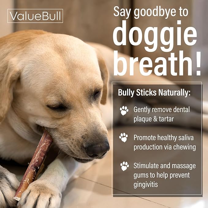 ValueBull Bully Sticks for Dogs, Thick 6 Inch, 100 Count Bulk Pack - All Natural, Grass Fed, Single Ingredient, Long Lasting Dog Treats