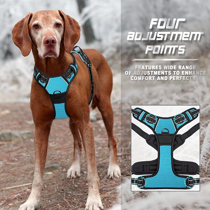 BARKBAY No Pull Dog Harness Front Clip Heavy Duty Reflective Easy Control Handle for Large Dog Walking(Blue,M)