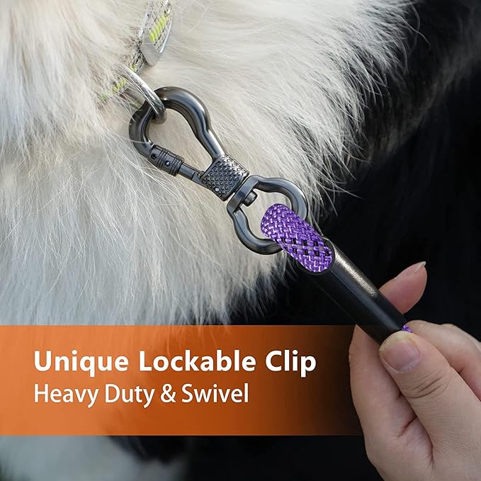 NTR Dog Rope Leash, 30FT Recall Training Lead, with 2 Swivel Hooks, Reflective Threads and Soft Rubber Handle, Puppy Leash for Walking, Hunting, Camping for Small Medium and Large Dogs-Purple