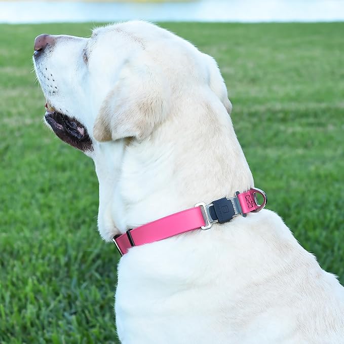 Dogline Biothane Waterproof Dog Collar with Herm Sprenger Black Stainless Steel Quick Release Buckle – Heavy Duty Tactical Durable Collar for Dogs – Comfortable and Safe Pet Collar W3/4" L12-19 Pink