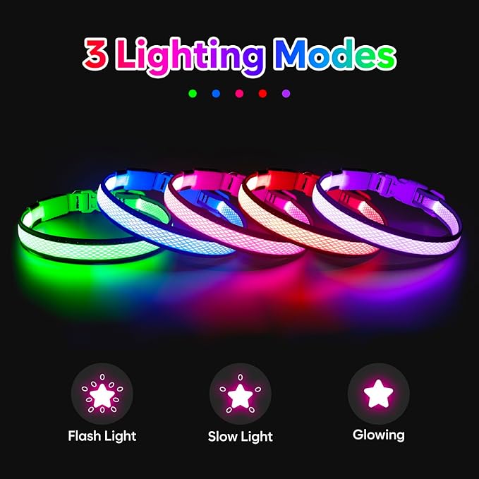 LED Dog Collar, Light Up Dog Collar USB Rechargeable, Brightest Dog Lights for Night Walking, Adjustable Dog Collar Light for Dog Safety (Purple, Medium)