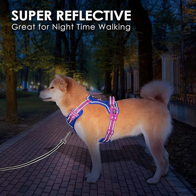 PHOEPET No Pull Dog Harness, Unique Colors Reflective Adjustable Dog Vest, with Soft Training Handle Metal Clips for Small Medium Large Dogs (Royal Blue Base & Pink Straps,M)