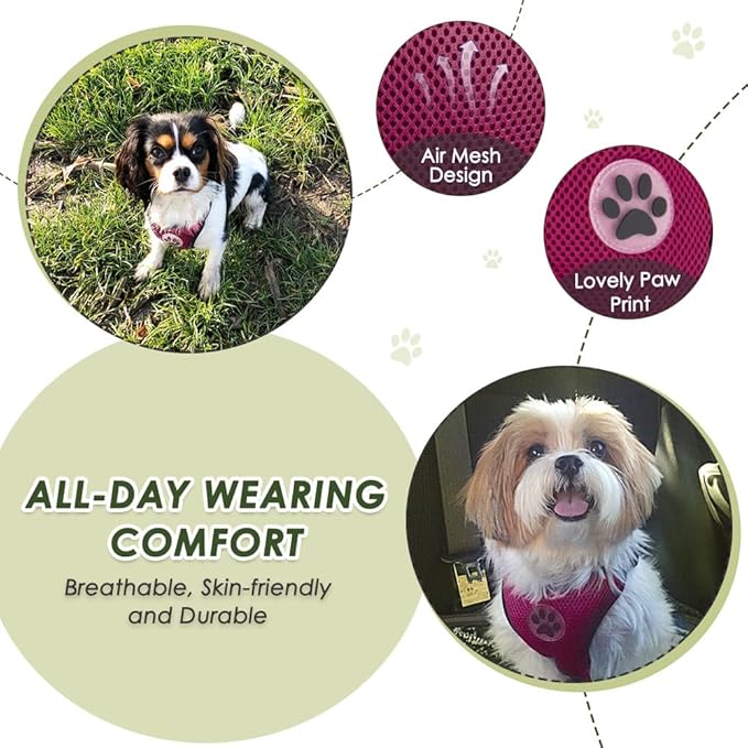Lukovee Dog Seat Belt for Car, Adjustable Dog Car Harness for Large Medium Small Dogs, Soft Padded & Breathable Mesh Dog Seatbelt with Car Strap and Carabiner(Rose Double Clip,XX-Small)