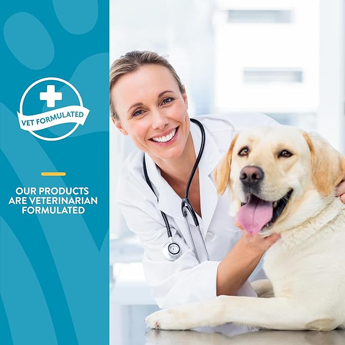 NaturVet Quiet Moments Calming Dog Supplement, Dog Soft Chews with Melatonin to Help Reduce Stress from Storms, The Vet, Fireworks, and Travel, Bacon and Chicken Flavored Pet Supplement, 65 Count