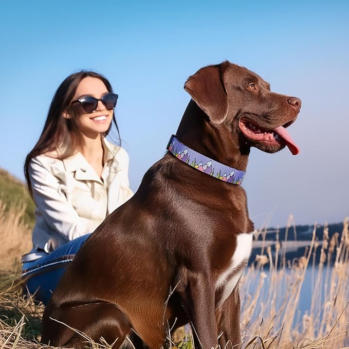 HEELE Dog Collar, Adjustable Soft Dog Collar for Small Medium Large Dogs,Floral Patterned Puppy Collars with Quick Release Buckle XS Length 8.5''-11''