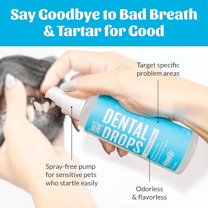 SKOUT'S HONOR Advanced Dental Drops - Fights Plaque and Tartar, Freshens Breath Fast, No Brushing Required, 4oz, 2-Pack