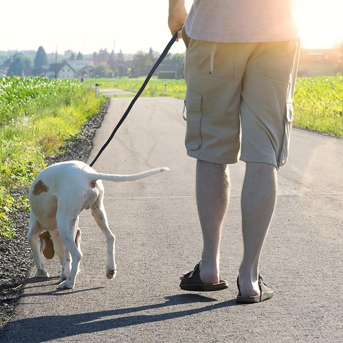 Leather Dog Leash 6ft x 1 inch, Heavy Duty Dog Training Leashes, Soft, Strong and Comfortable Braided Leather Leash for Large, Medium Dogs Black