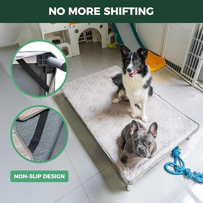 FXW TitanNest Chew-Proof Elevated Dog Bed, Raised Cot for Indoor/Outdoor/Camping Use, Durable & Washable Padded Pet Bed with Exclusive Reuseable Cover for Large Dogs, 50.0" L x 31.0" W x 7.3" H, Gray