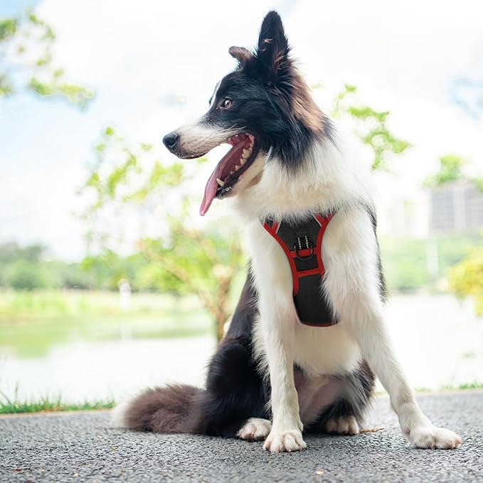 PHOEPET 2019 Upgraded No Pull Dog Harness, Reflective Adjustable Vest, with a Training Handle + 2 Metal Leash Hooks+ 3 Snap Buckles +4 Slide Buckles(XL, Black)