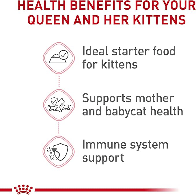 Royal Canin Feline Health Nutrition Mother & Babycat Ultra Soft Mousse in Sauce Canned Cat Food, 5.1 oz., Case of 24, 24 X 5.1 OZ