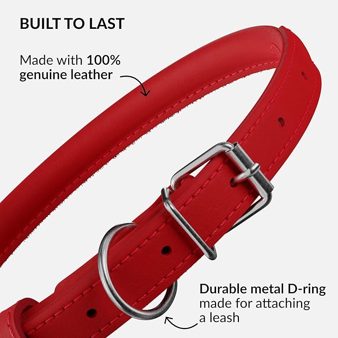 CollarDirect Rolled Leather Dog Collar, Soft Padded Round Puppy Collar, Handmade Genuine Leather Collar Dog Small Large Cat Collars 13 Colors (6-7 Inch, Red Smooth)