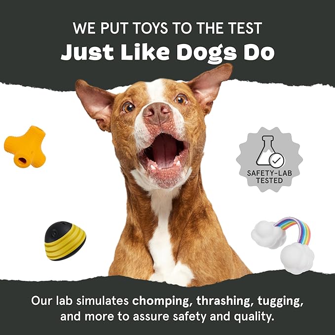 Barkbox Piper Parrot Dog Toy for Small Dogs, Perfect for Flipping Fun and Tearable Outer Layer with Bonus Toy Inside for Extra Playtime Excitement
