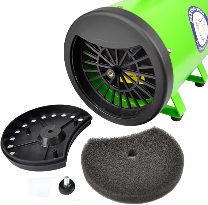 Flying Pig High Velocity Dog Pet Grooming Dryer w/Heater (Model: Flying One, Green)