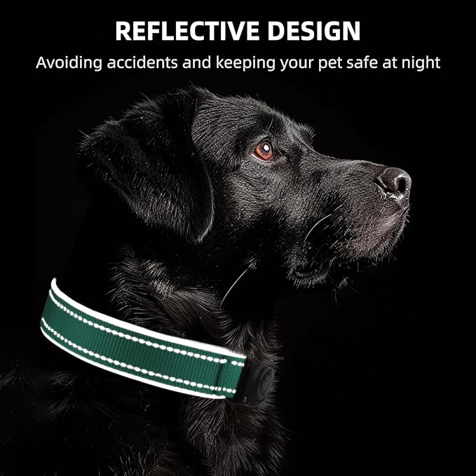 Upgraded AirTag Dog Collar, IP68 Waterproof Air Tag Dog Collar Holder, Reflective, Ultra-Durable, Comfortable Padded, Heavy Duty Dog Collars for Small Medium Large Dogs (Aqua, S)