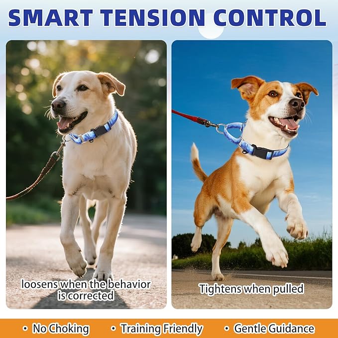 KOOLTAIL Martingale Collar for Dogs,Soft Padded Nylon Heavy Duty Dog Collar for Small Medium Large Dogs,Adjustable No Pull Durable Wide Puppy Training Collar With Pattern Design for Boys Girls, Blue M