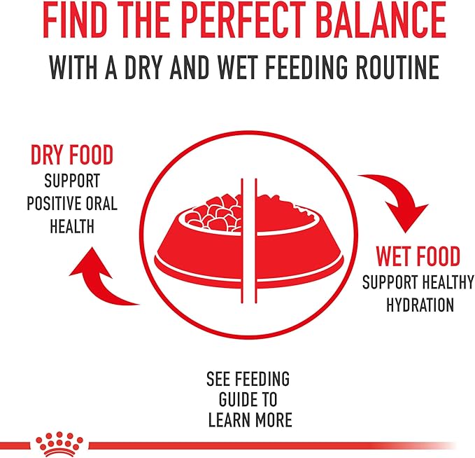 Royal Canin Indoor Adult Dry Cat Food, 15 lb bag