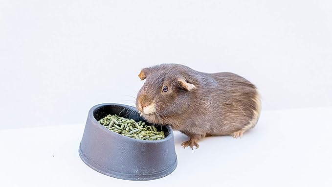 Premium Timothy Grass Hay Pellets for Rabbits, Chinchillas, Guinea Pigs, Hamsters, Ferrets, and Other Small Pets - 100% Timothy No Additives