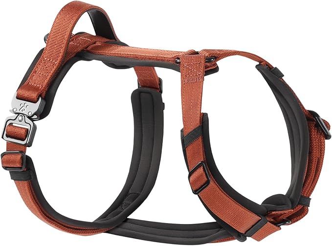 CLEPAWS Dog Harness for Small Dogs, No Pull Dog Harness Easy Walk with Metal Hardware, Ergonomic Y-Shaped Design, Soft Padding, Padded Handle, Durable High-Tensile Nylon (Canyon Red, S)